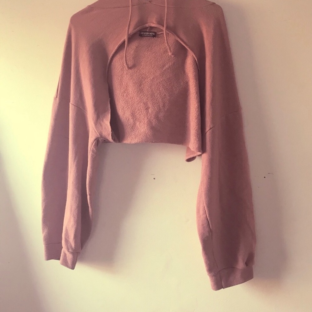 Fashion Nova Curve  Cropped Top Hoodie Mauve 2X ✨